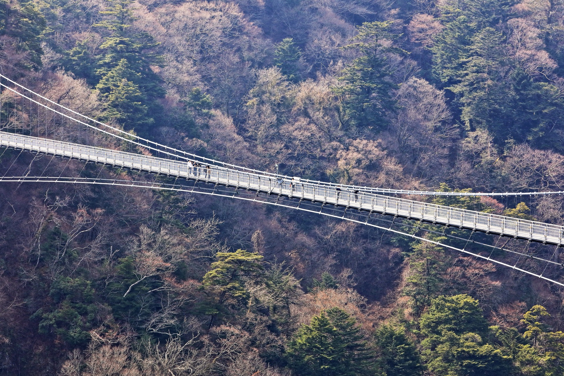 九重“夢”大吊橋