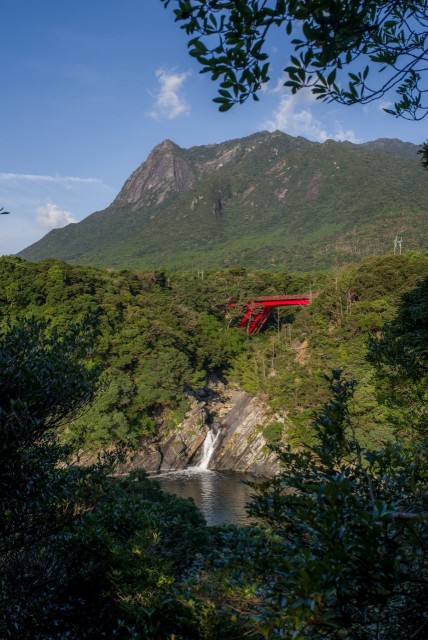 屋久島の自然