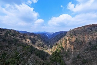 九重“夢”大吊橋