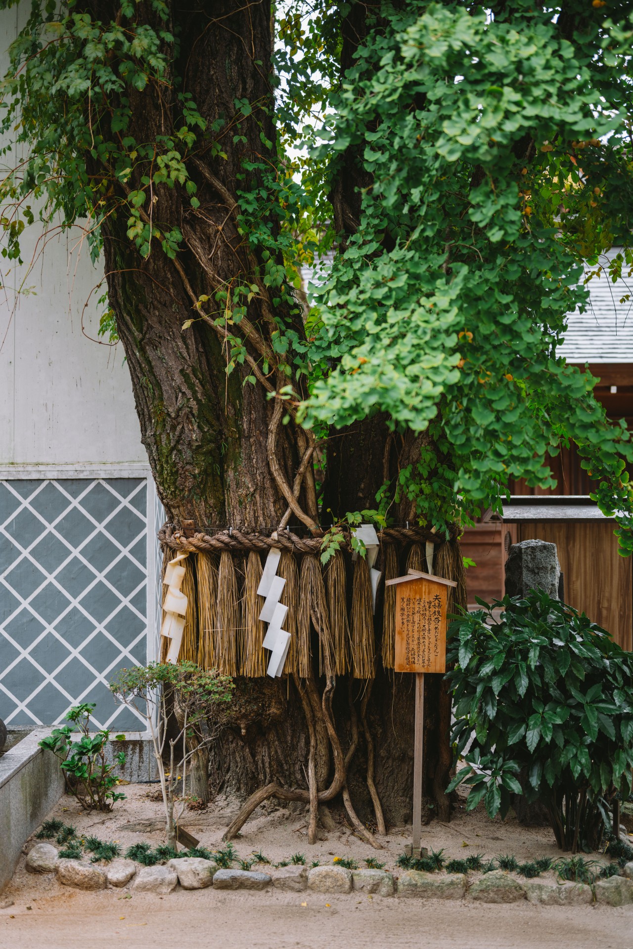 櫛田神社