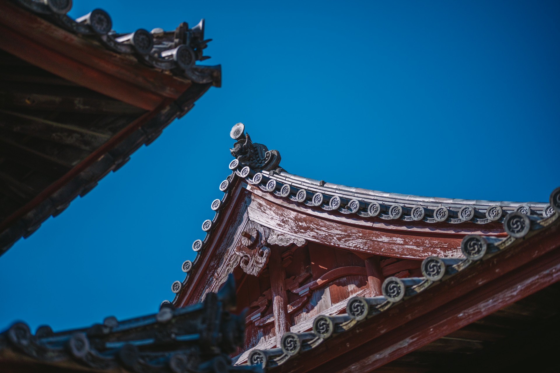崇福寺
