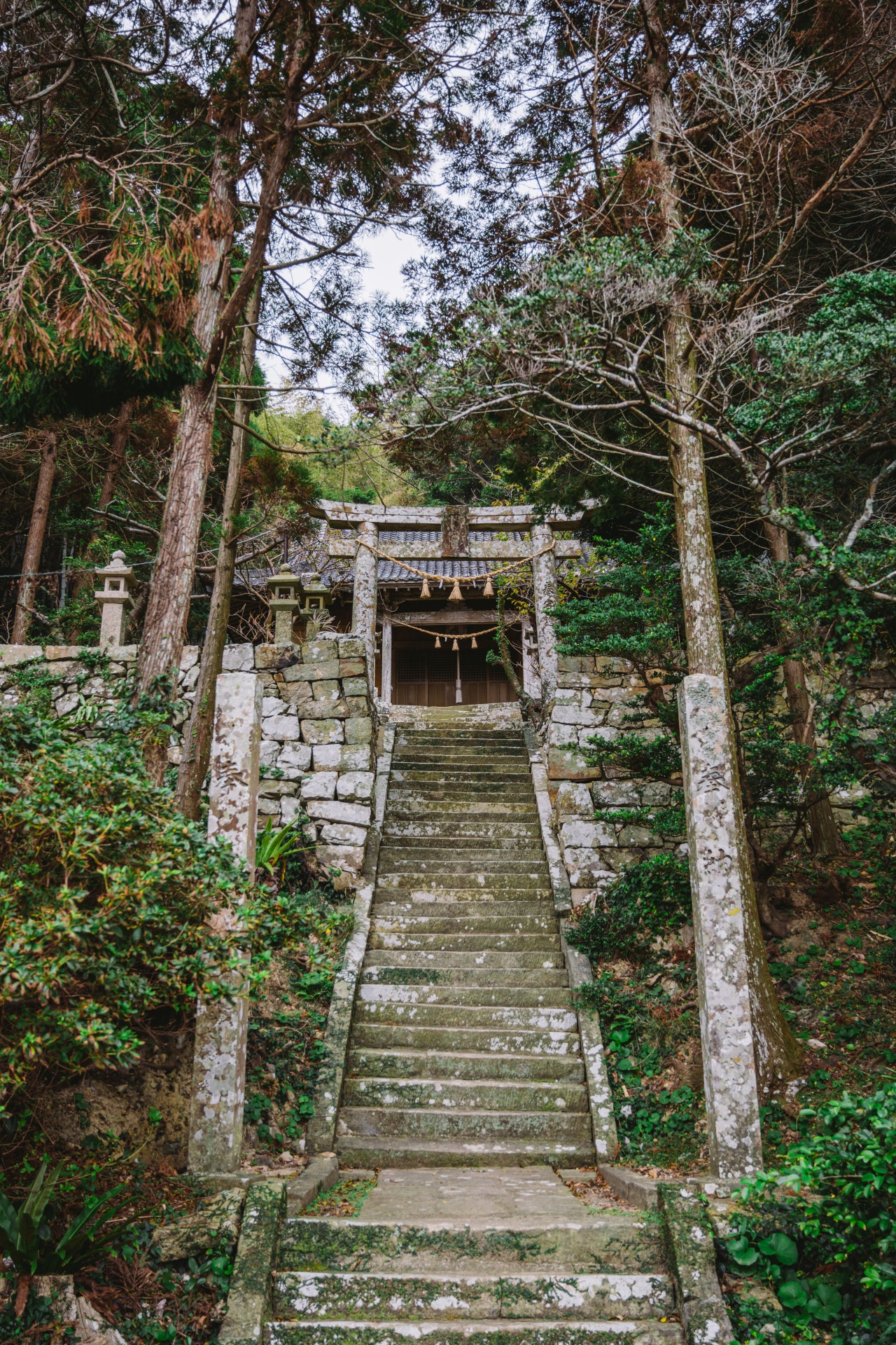 白鳥神社