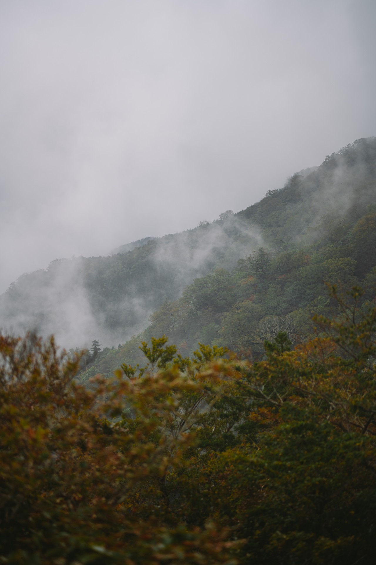 霧立越