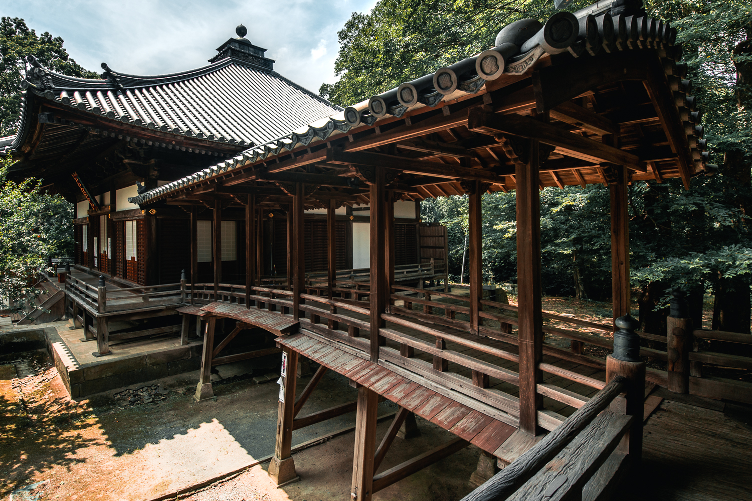 善導寺
