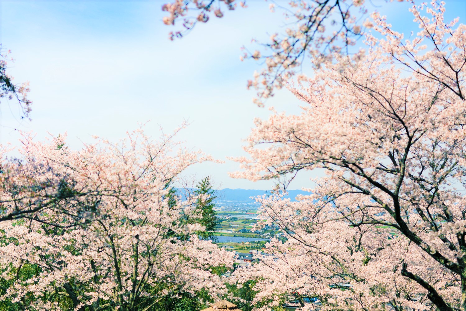 発心公園