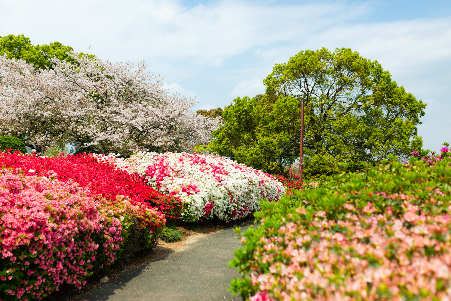 久留米百年公園