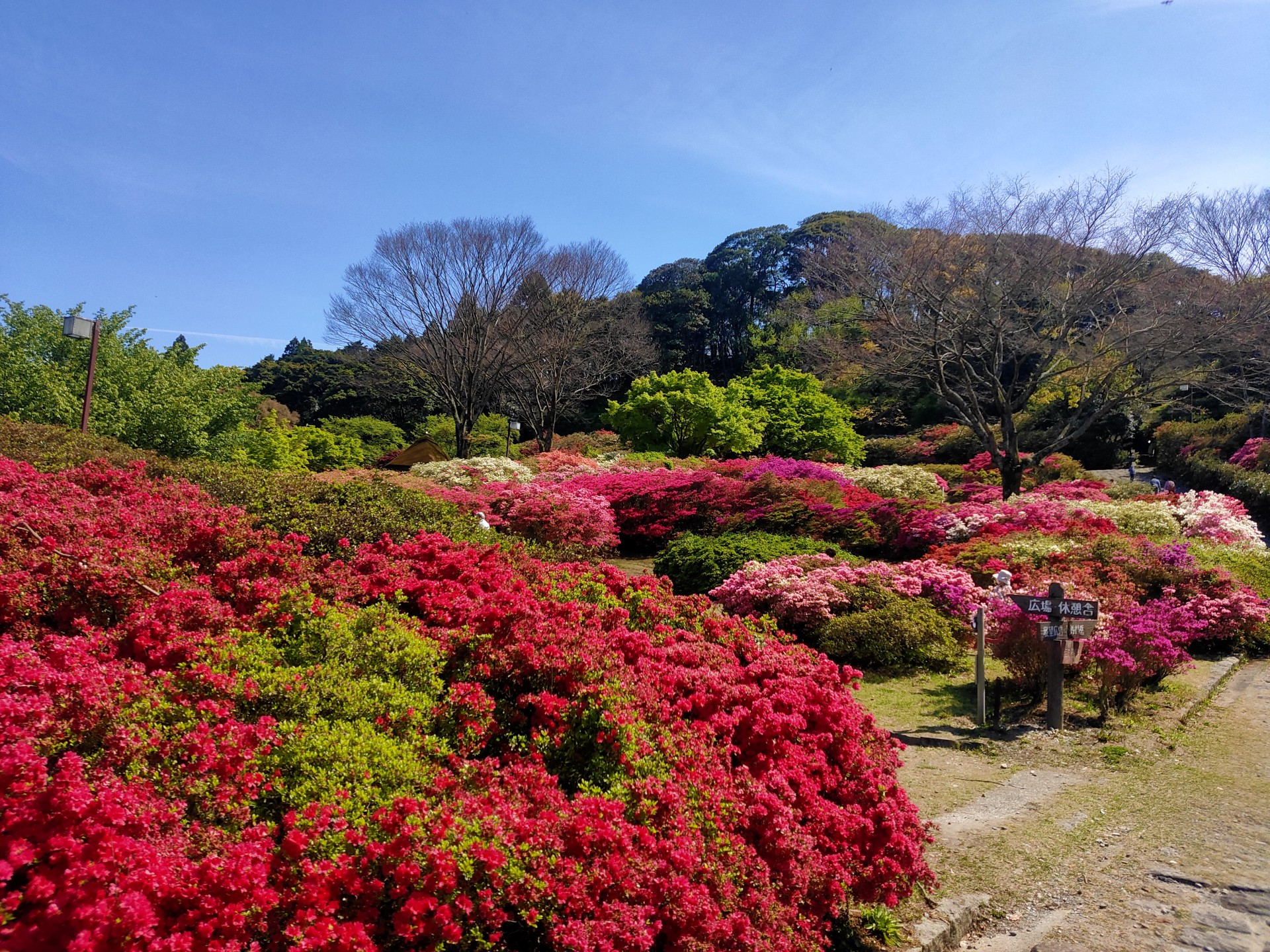 久留米森林つつじ公園