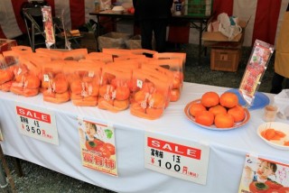 久留米の柿狩り