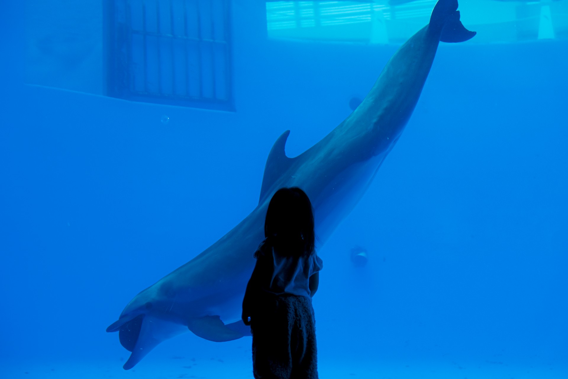 西海国立公園 九十九島水族館”海きらら”　※