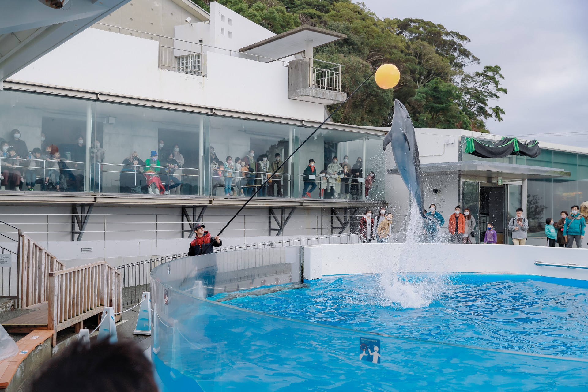 西海国立公園 九十九島水族館”海きらら” ※