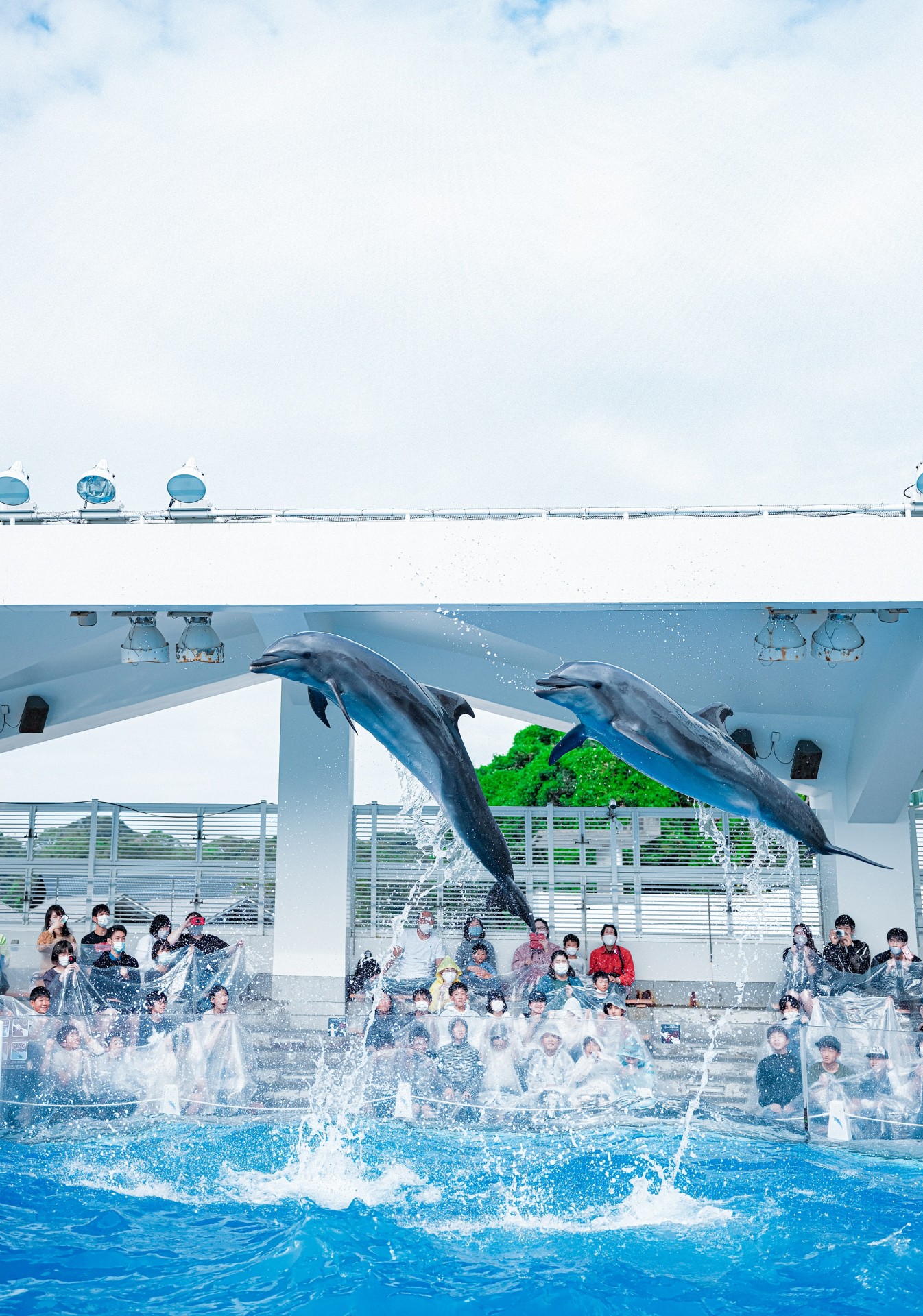 西海国立公園 九十九島水族館”海きらら”　※