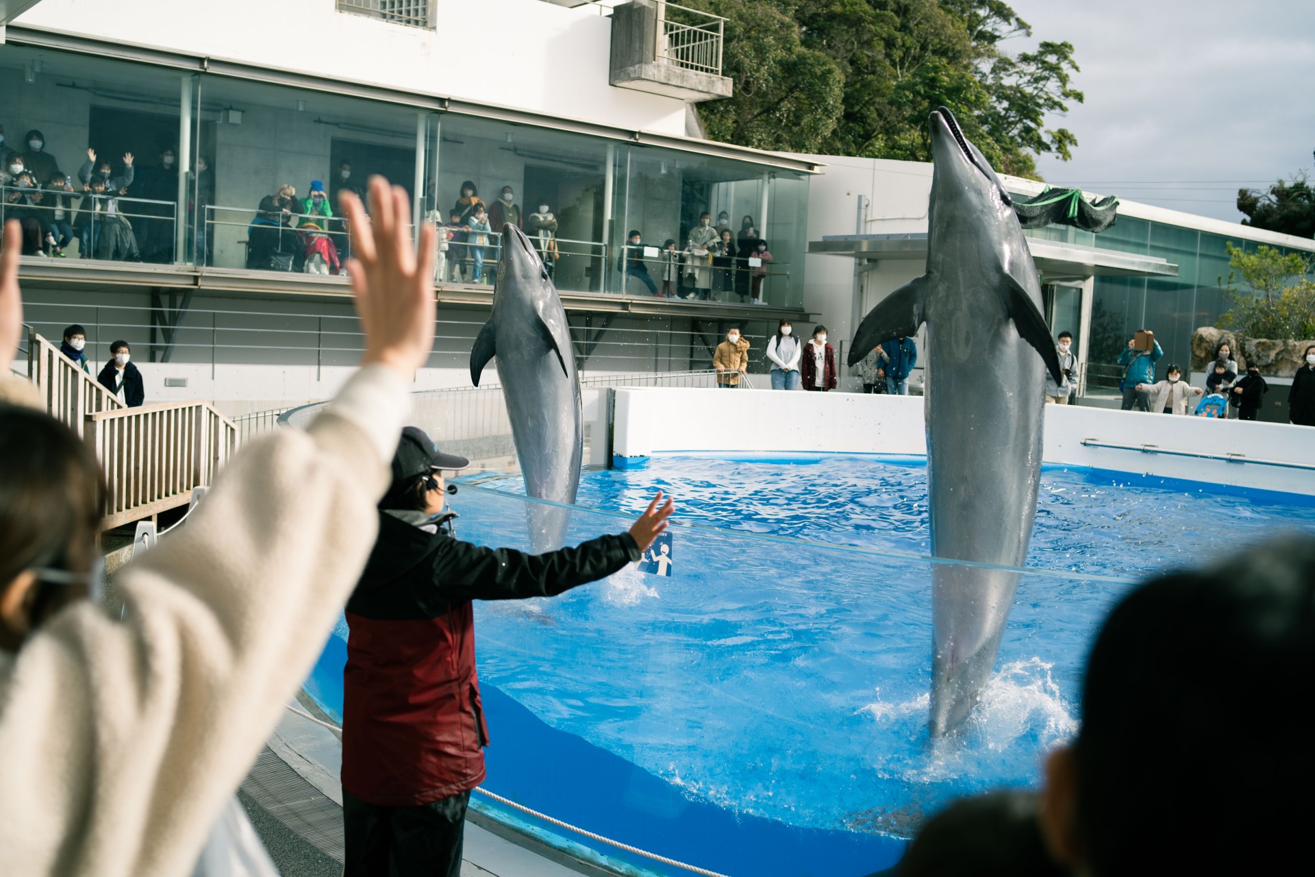 西海国立公園 九十九島水族館”海きらら” ※