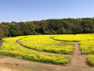 展海峰