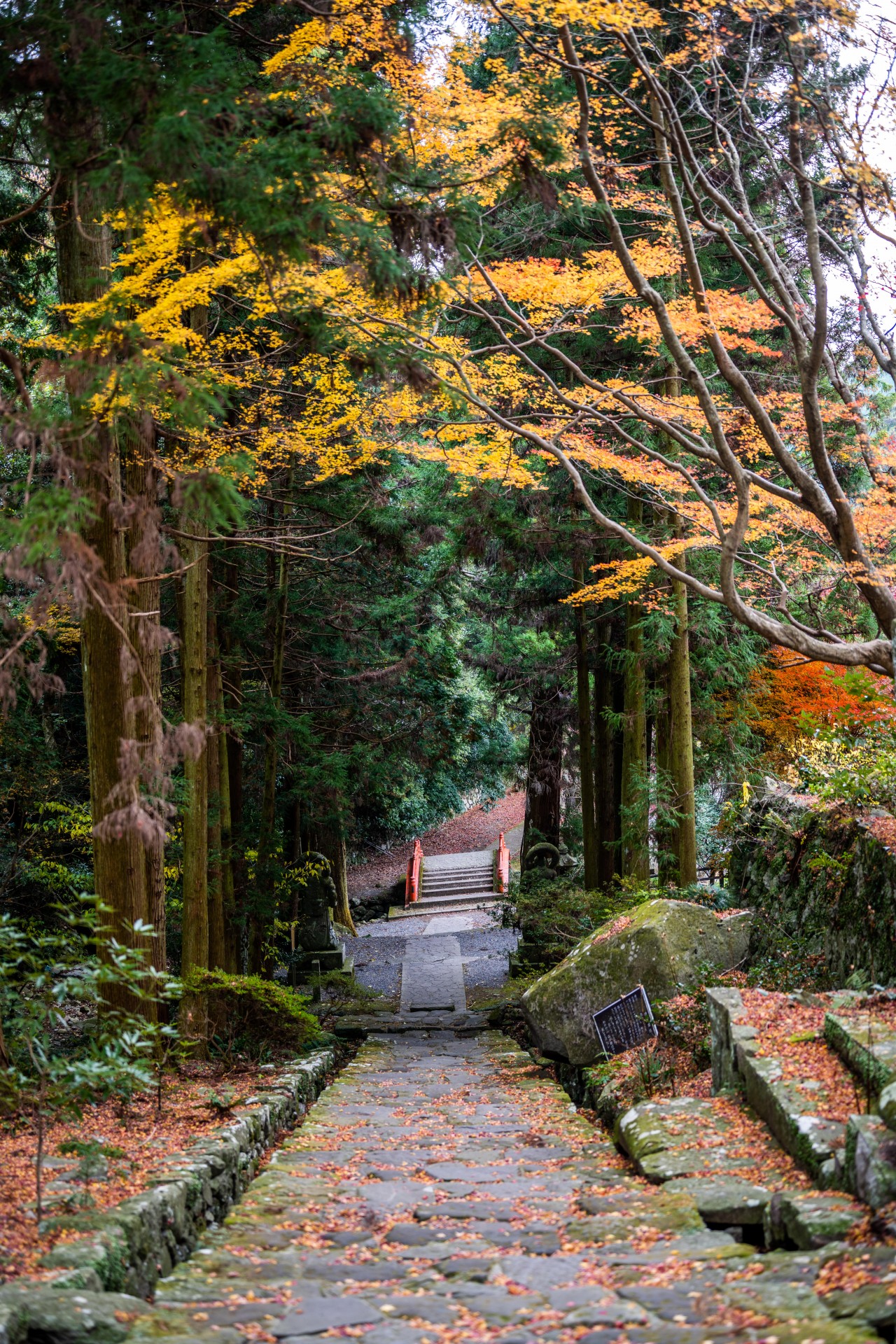 両子寺