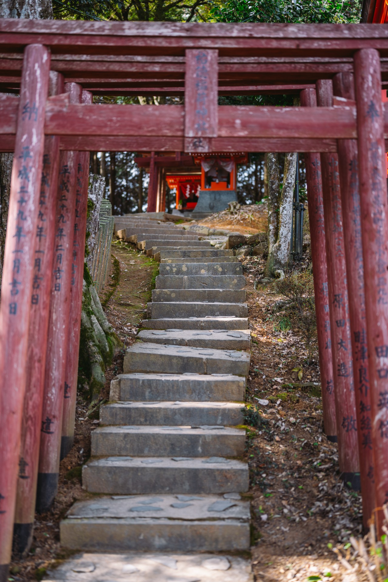 祐徳稲荷神社