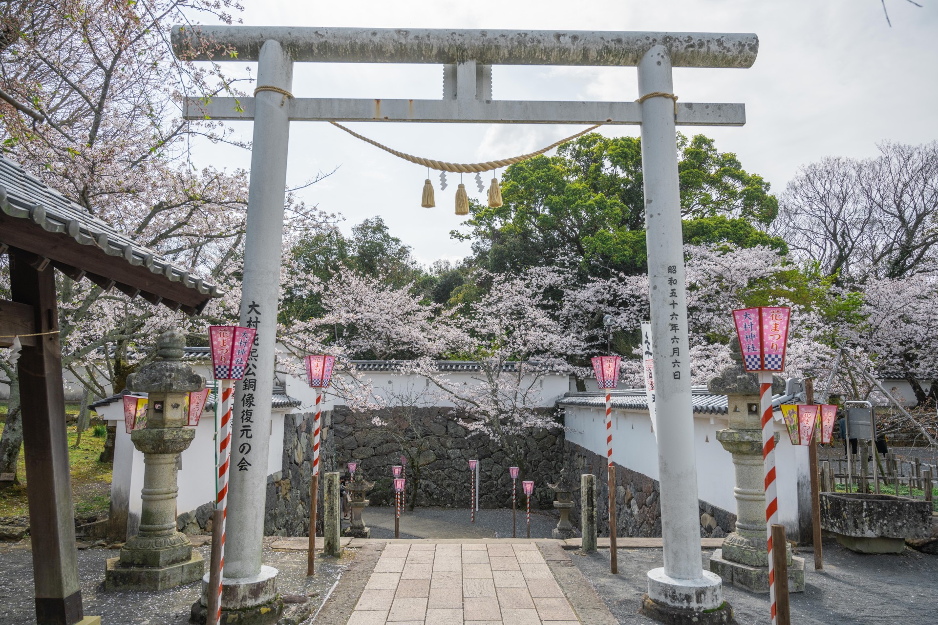 大村公園（玖島城跡）の桜