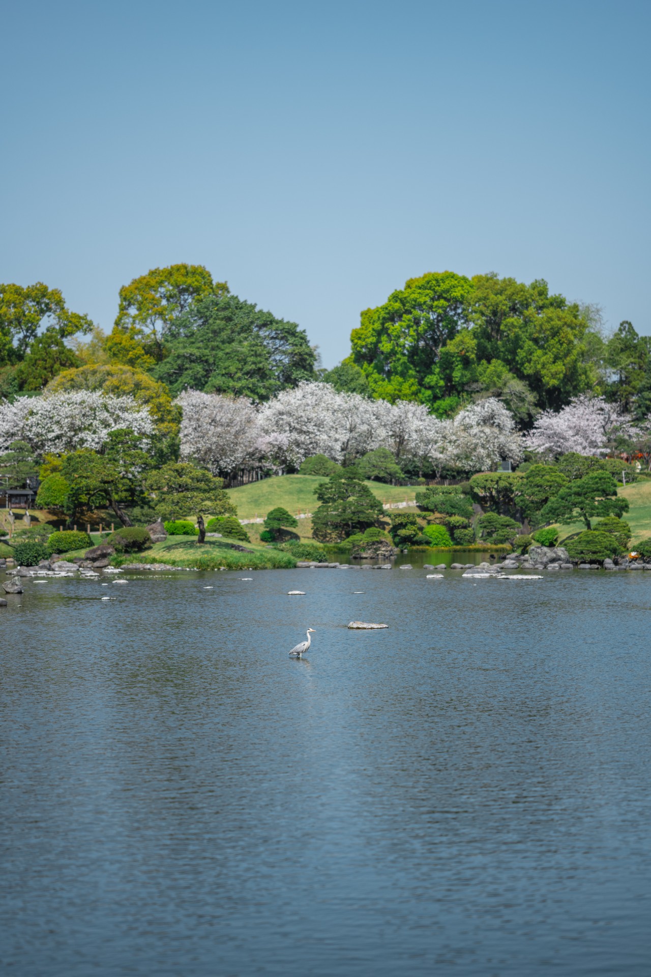 水前寺成趣園(水前寺公園)