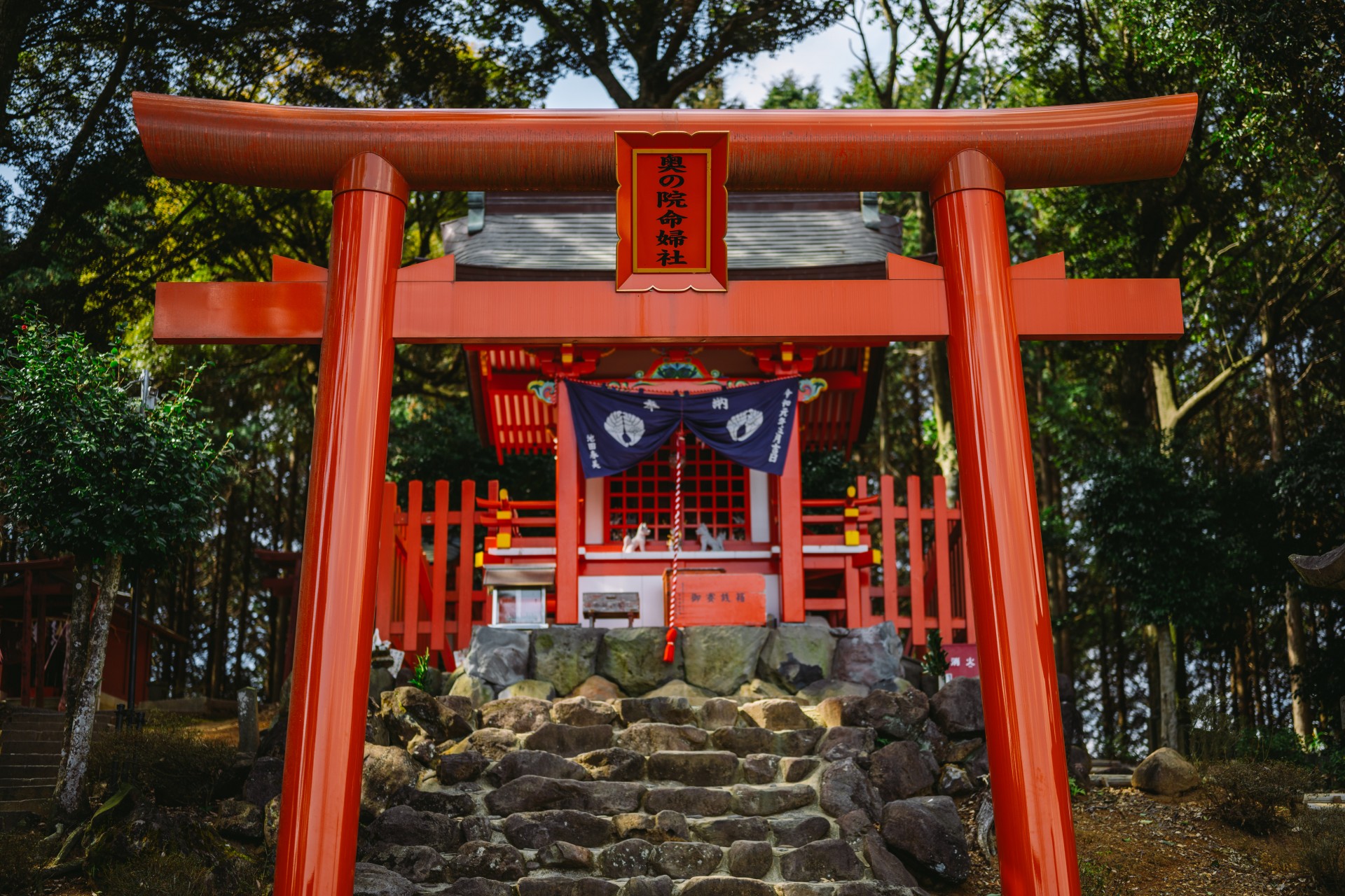 祐徳稲荷神社
