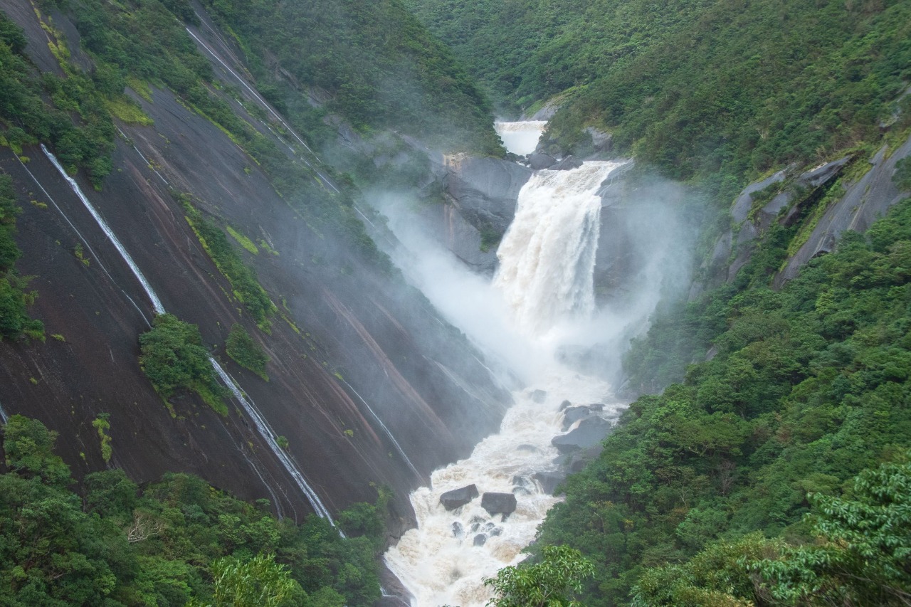 屋久島　千尋の滝