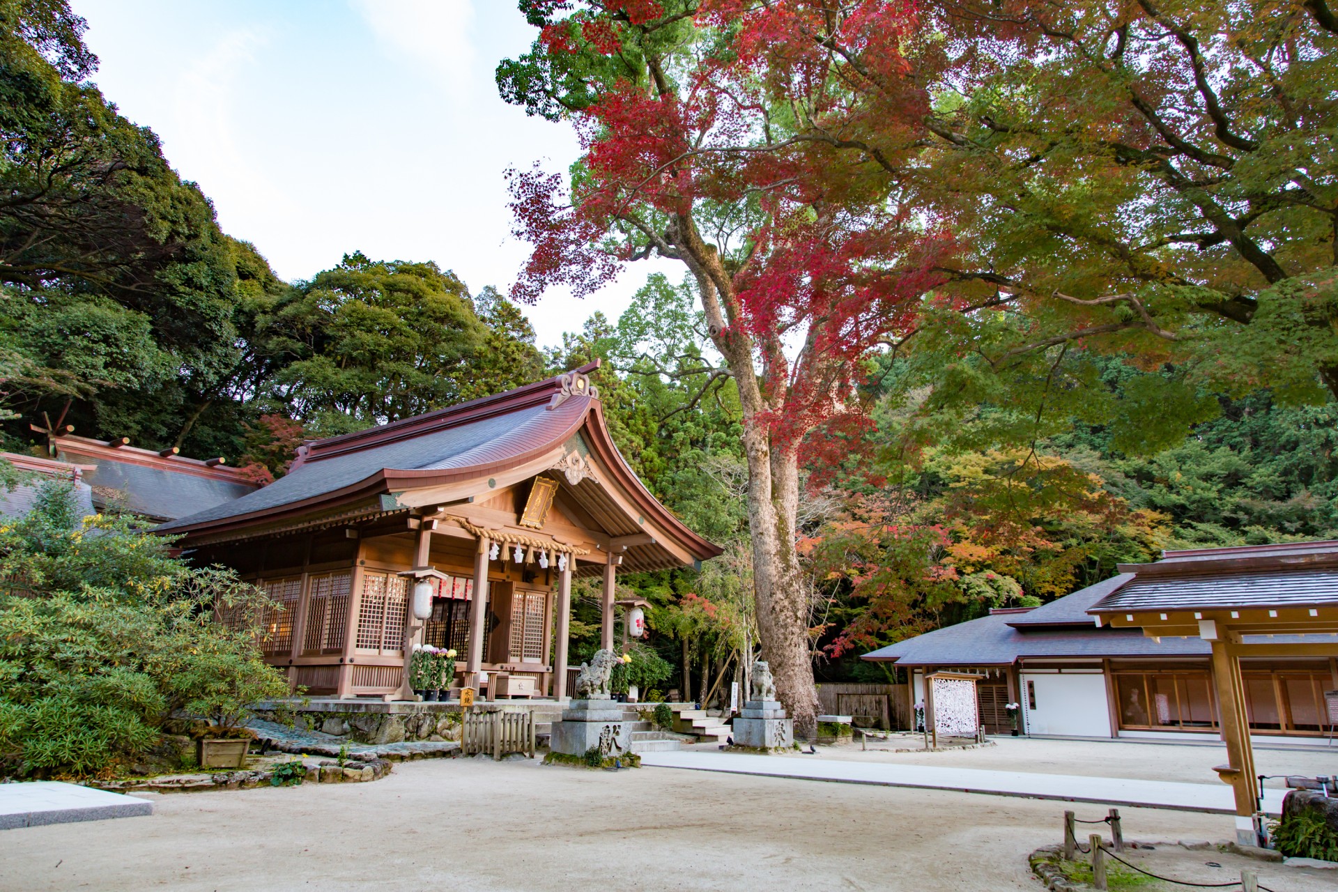 竈門神社
