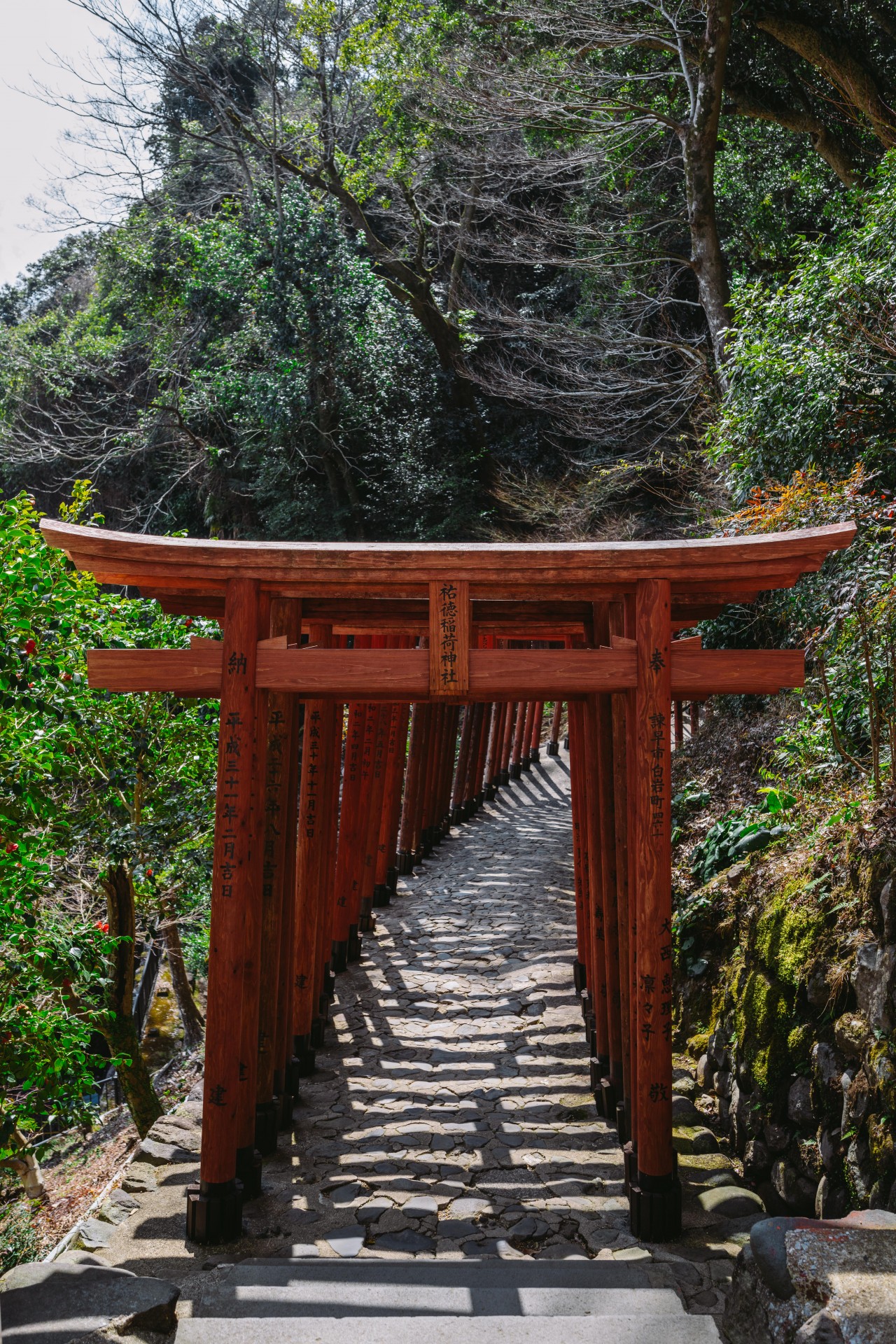 祐徳稲荷神社