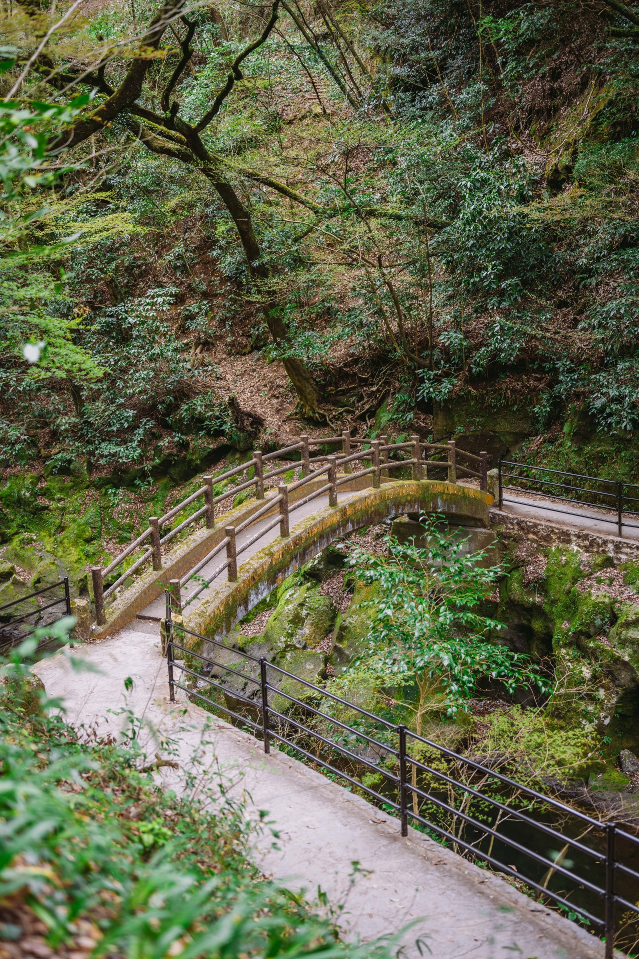 天岩戸神社(天安河原) ※