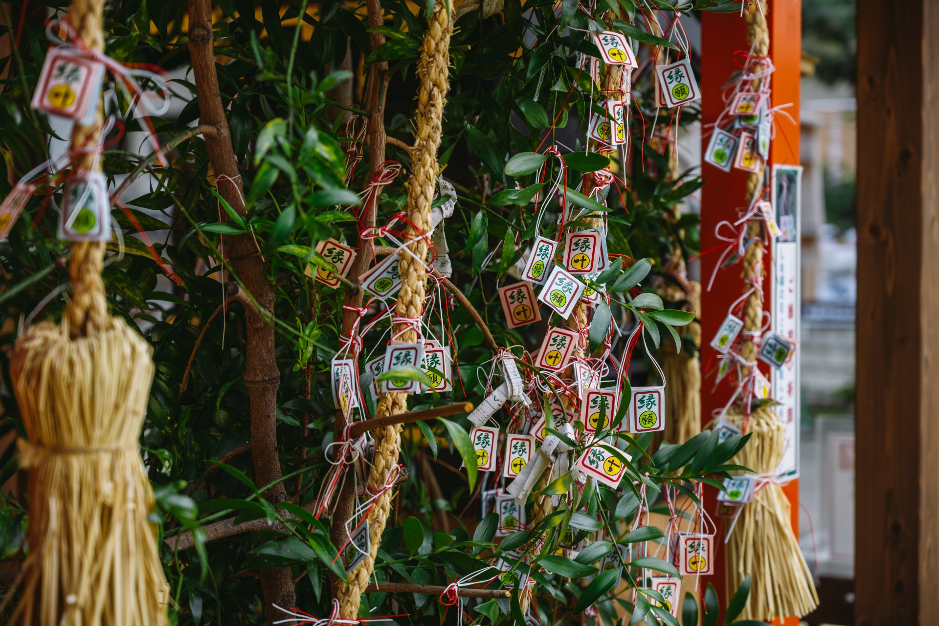 佐嘉神社・松原神社