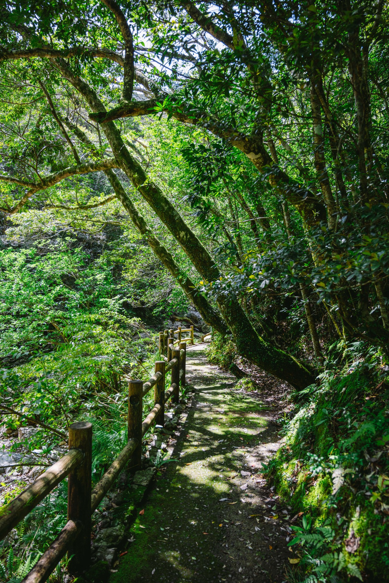 マテリヤの滝
