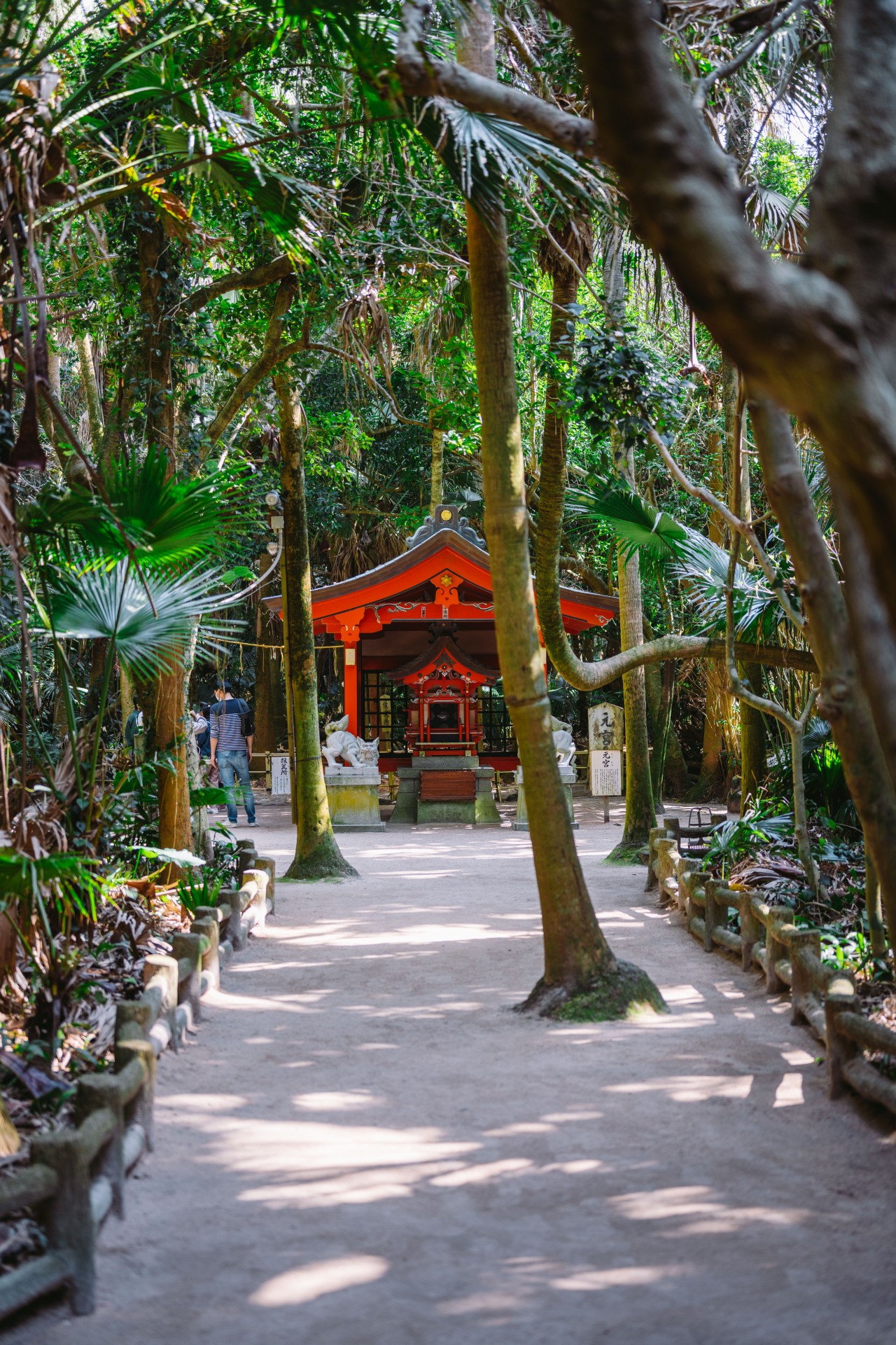 青島神社周辺