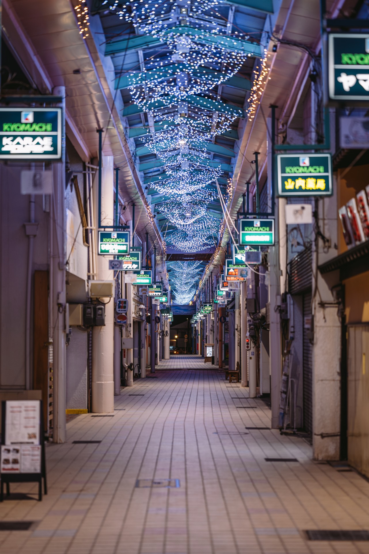 唐津市 街並み 夜景