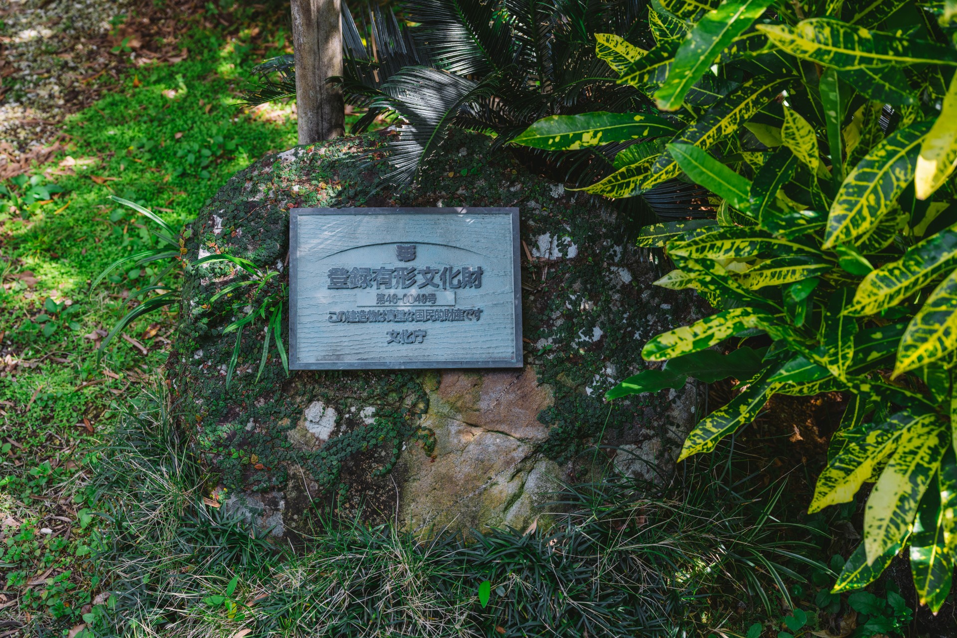 薗家住宅主屋 庭園