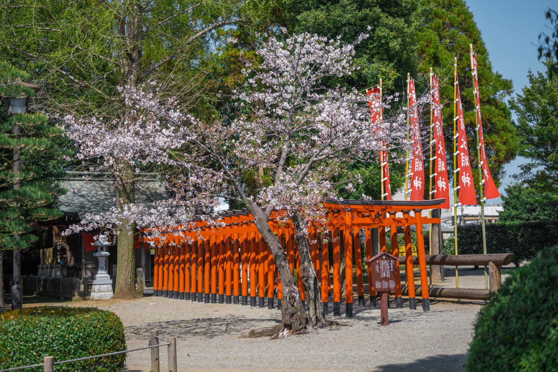水前寺成趣園（水前寺公園）