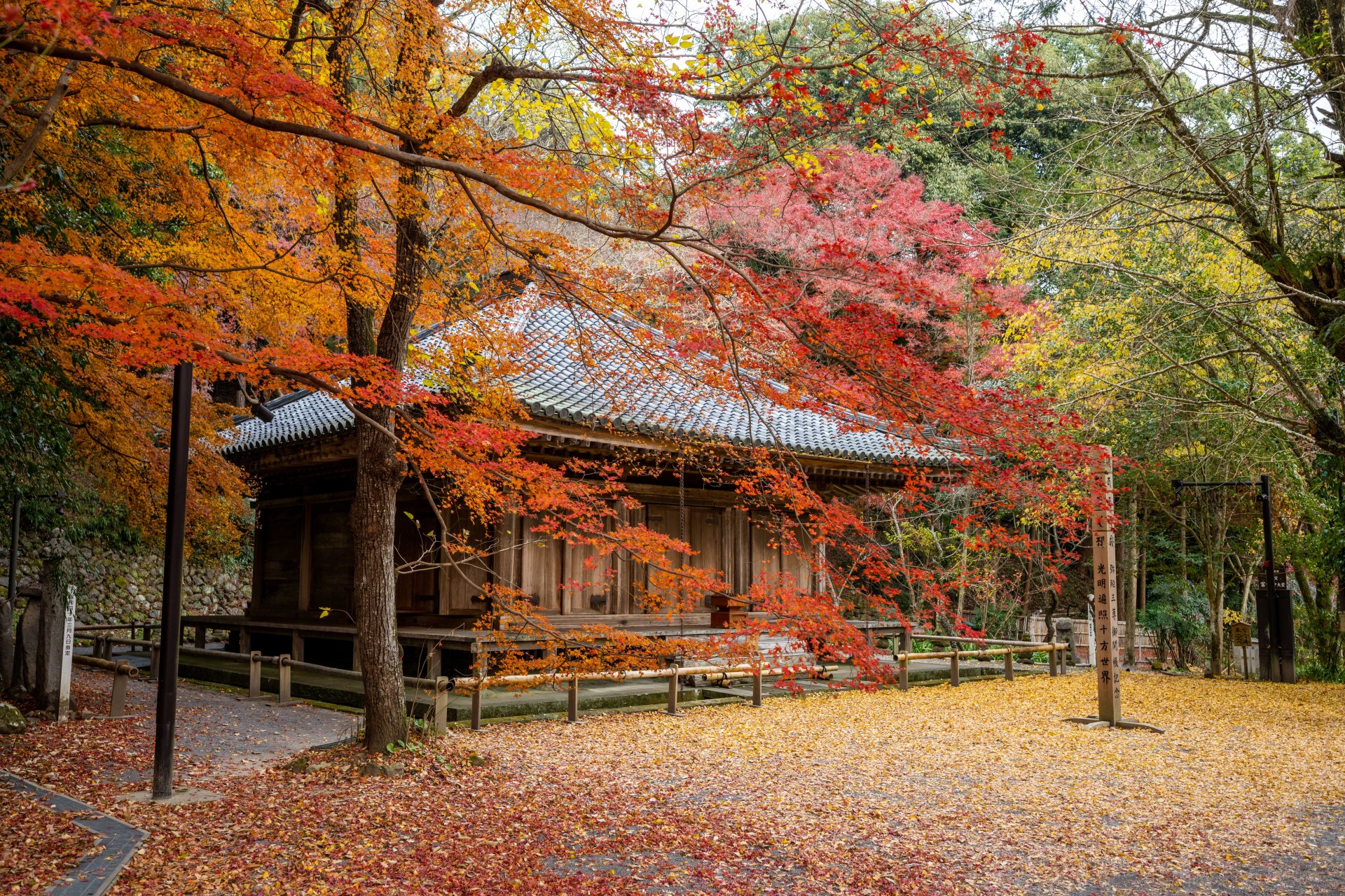 富貴寺の紅葉