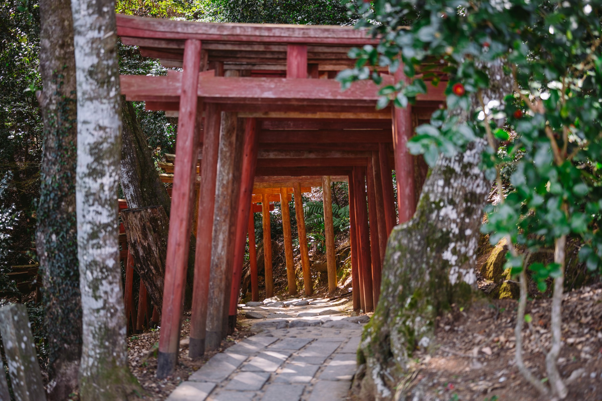 祐徳稲荷神社