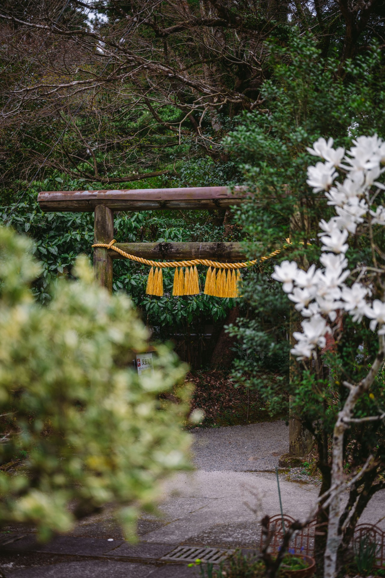 天岩戸神社(天安河原)　　※