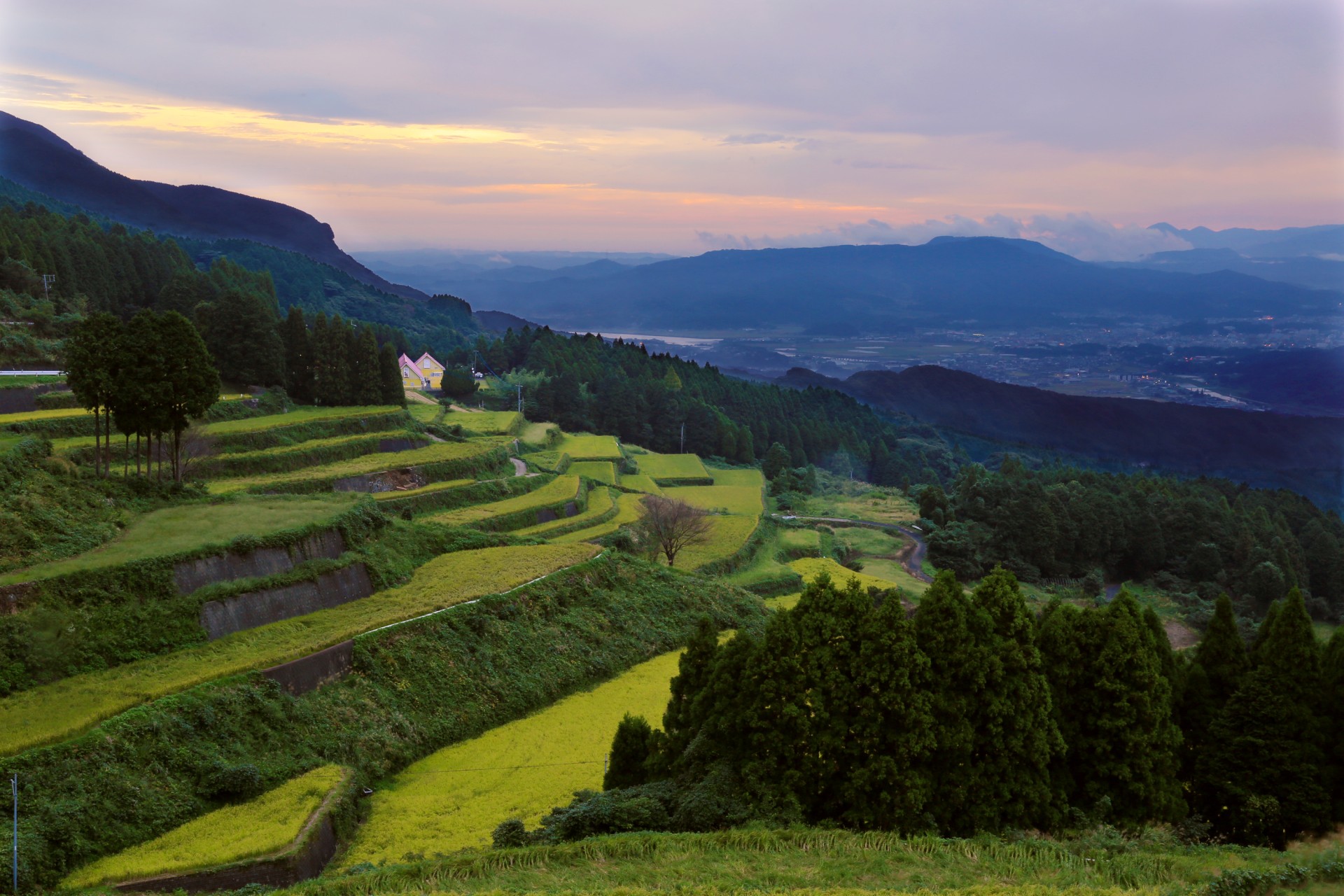 有田町 岳の棚田