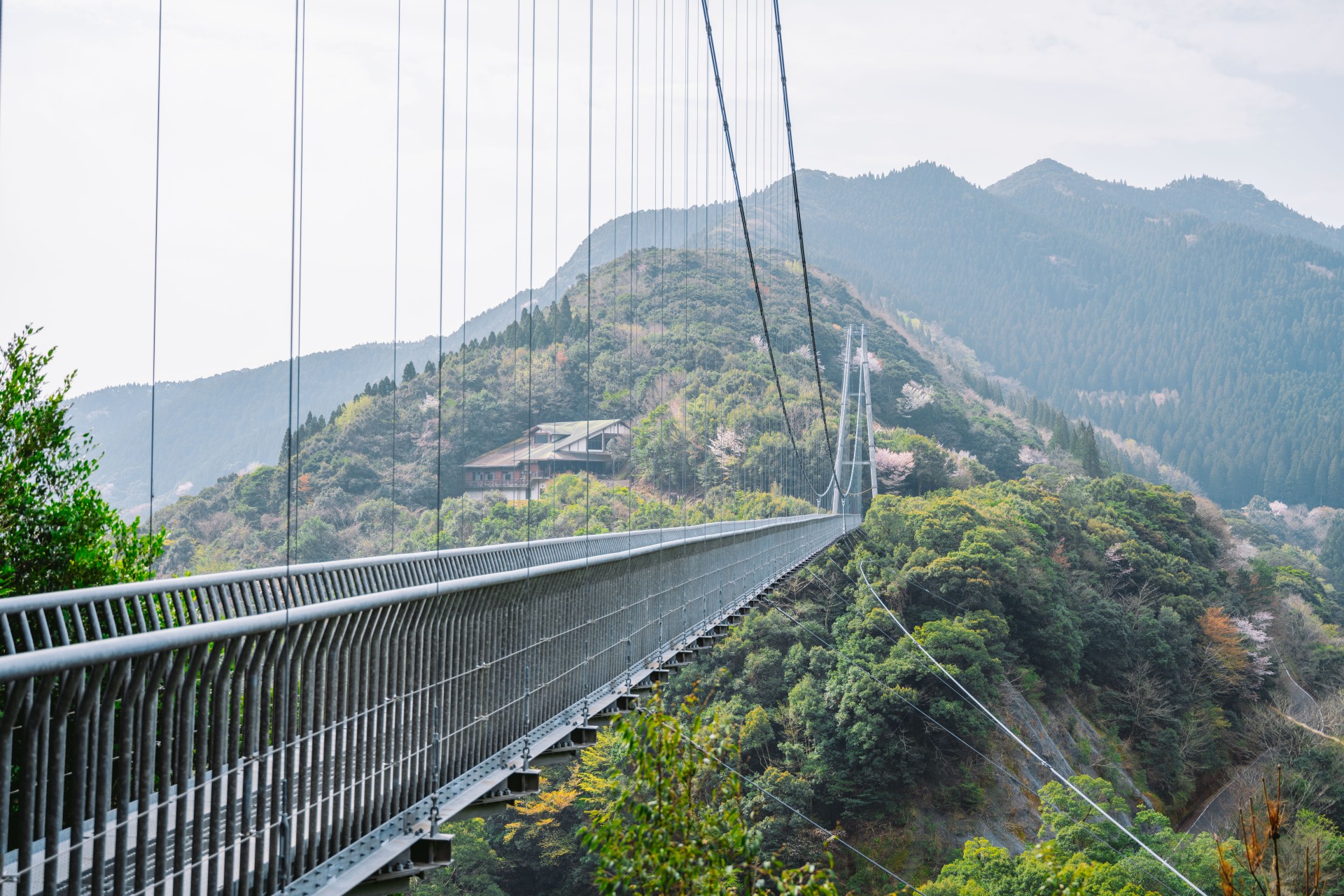 綾の照葉大吊橋(綾町)