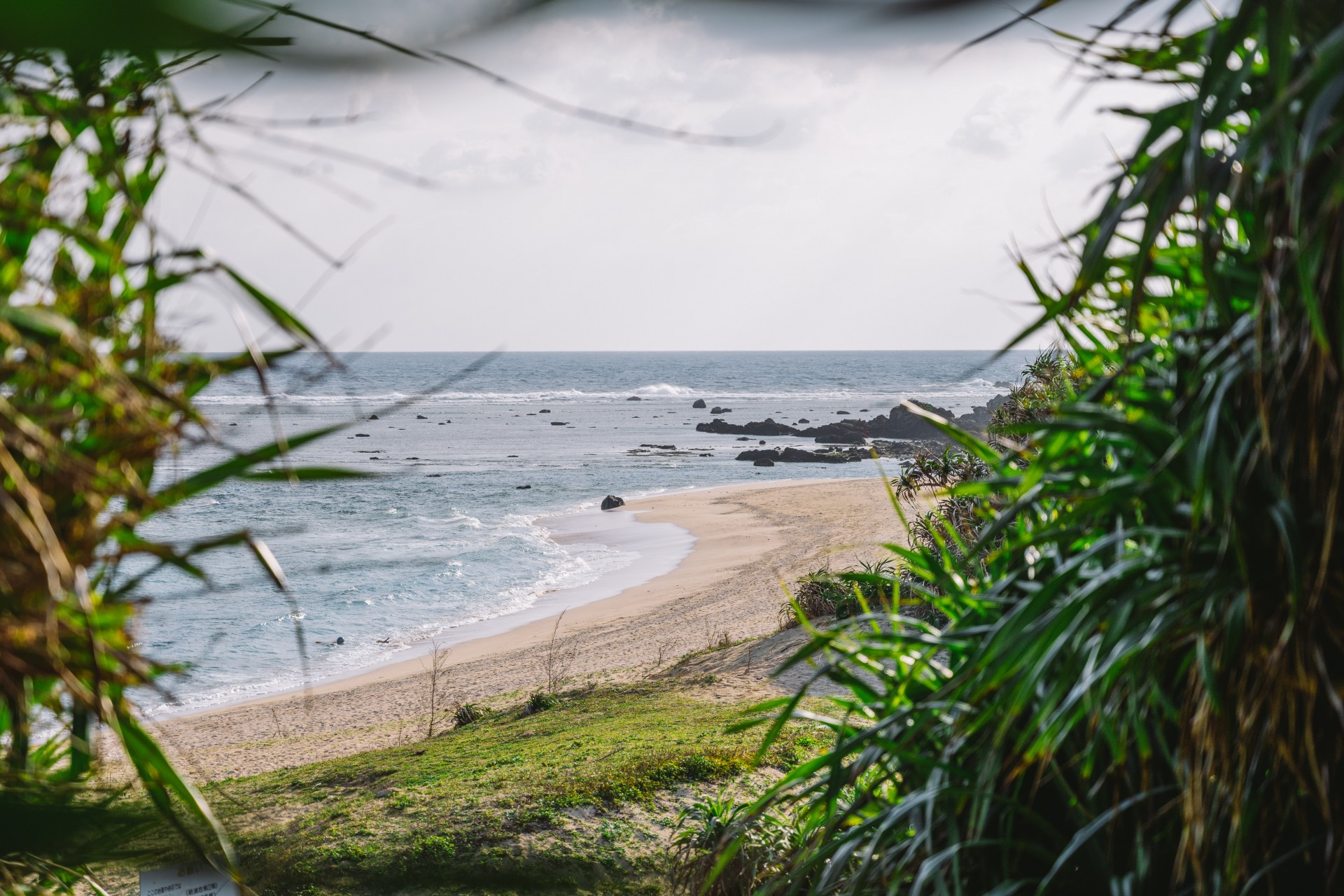 土盛海岸