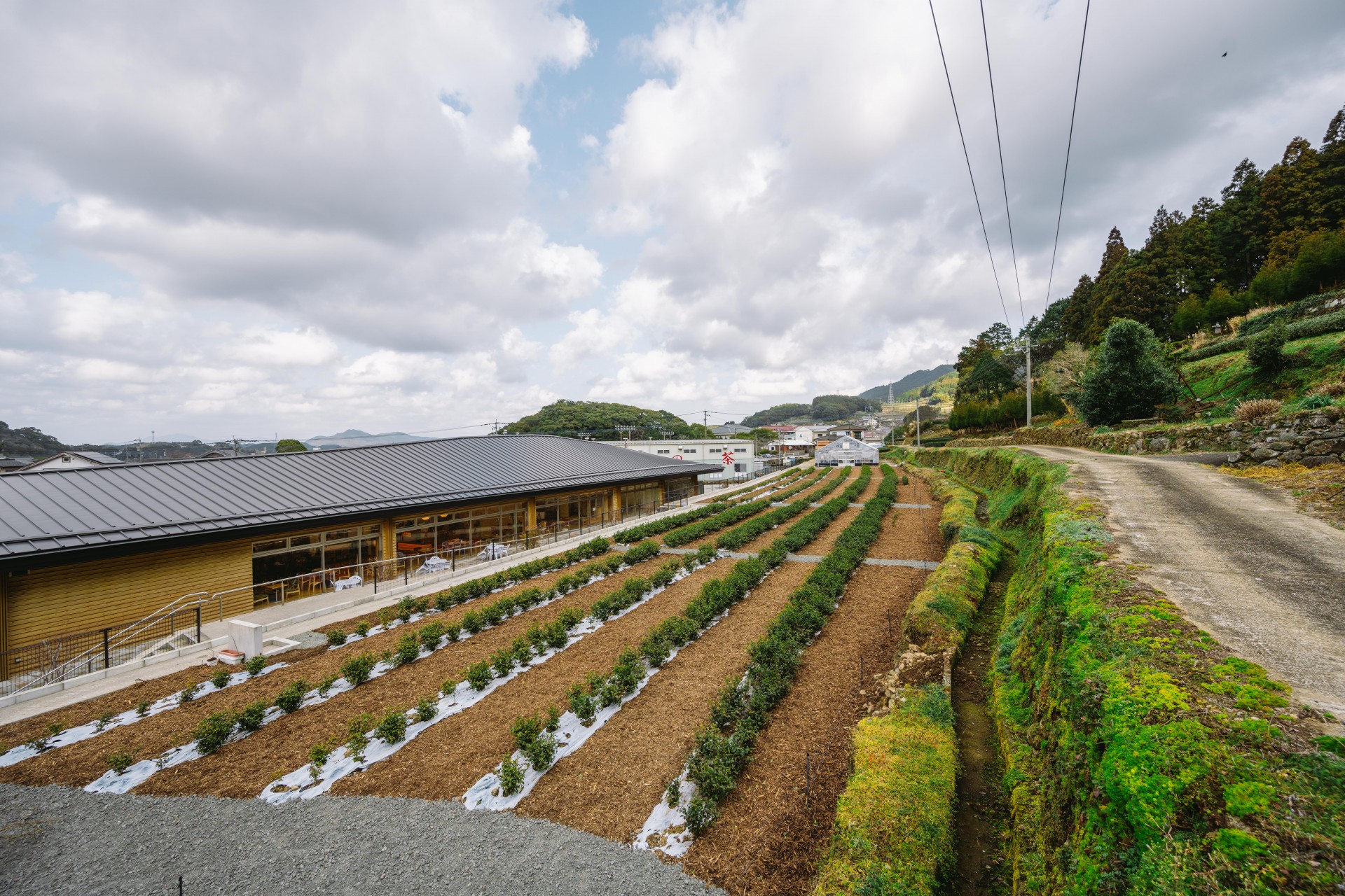 うれしの茶交流館　チャオシル