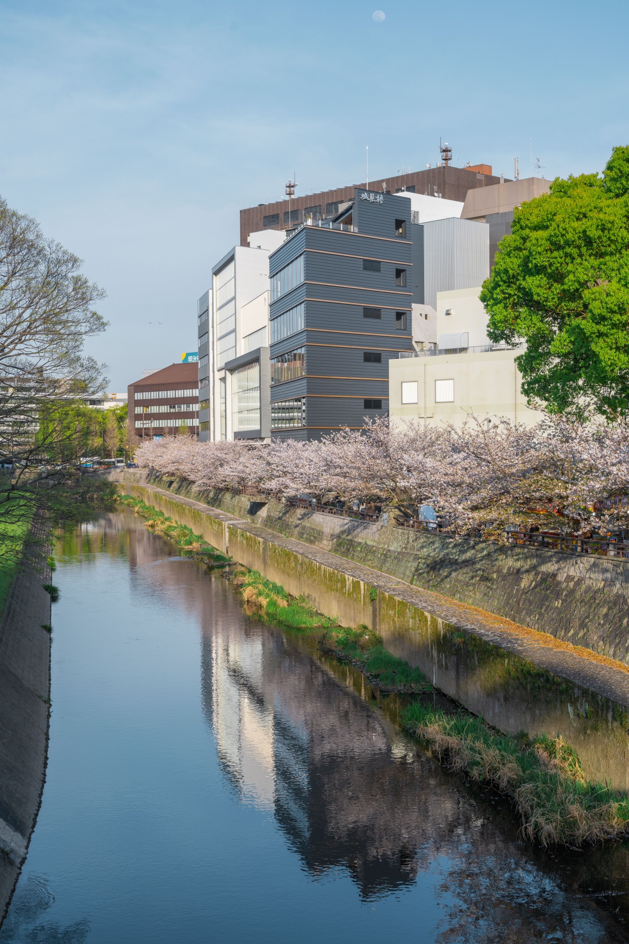 熊本市内 街並み