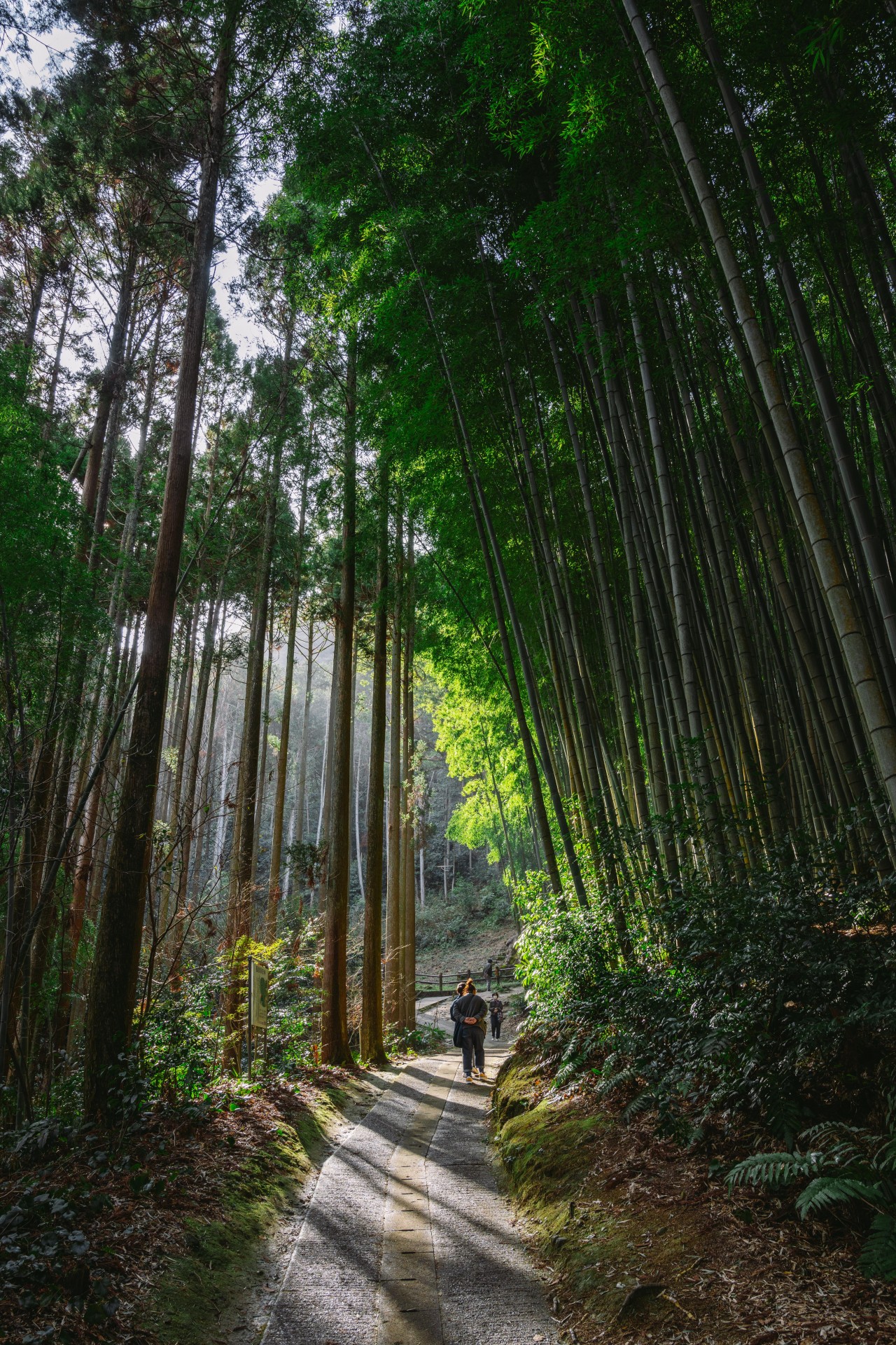 武雄神社