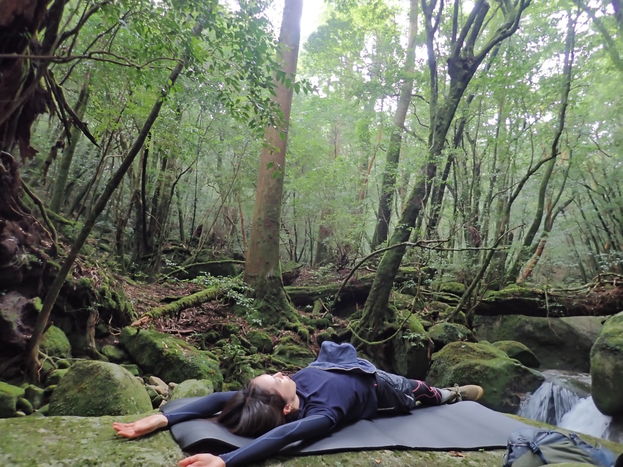 屋久島 森林セラピー