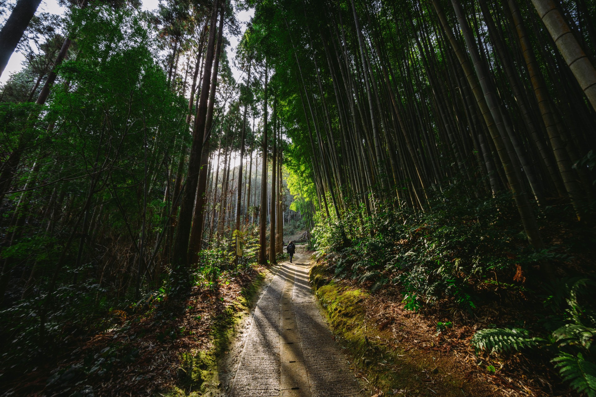 武雄神社