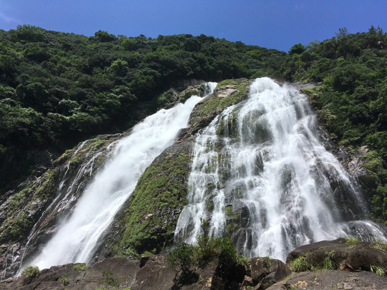 屋久島 大川の滝
