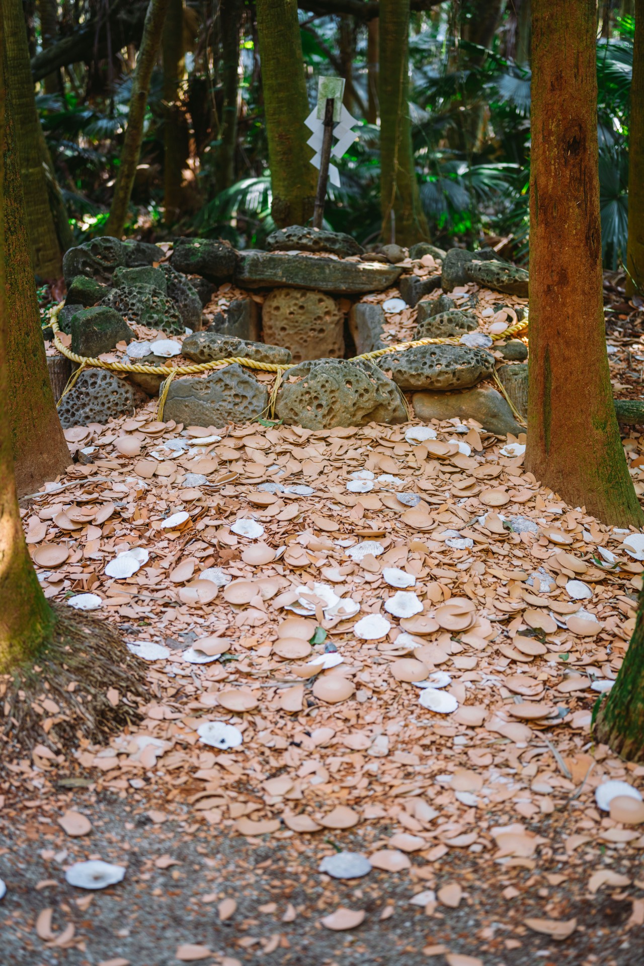 青島神社周辺