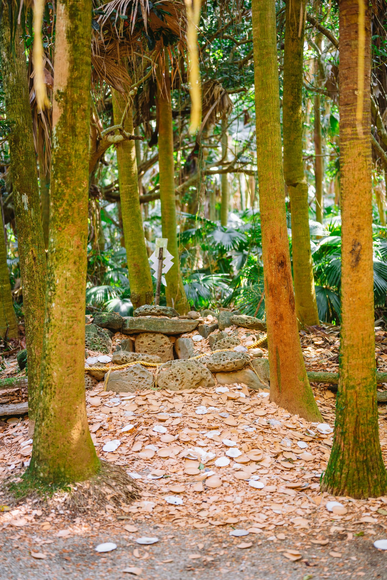 青島神社周辺