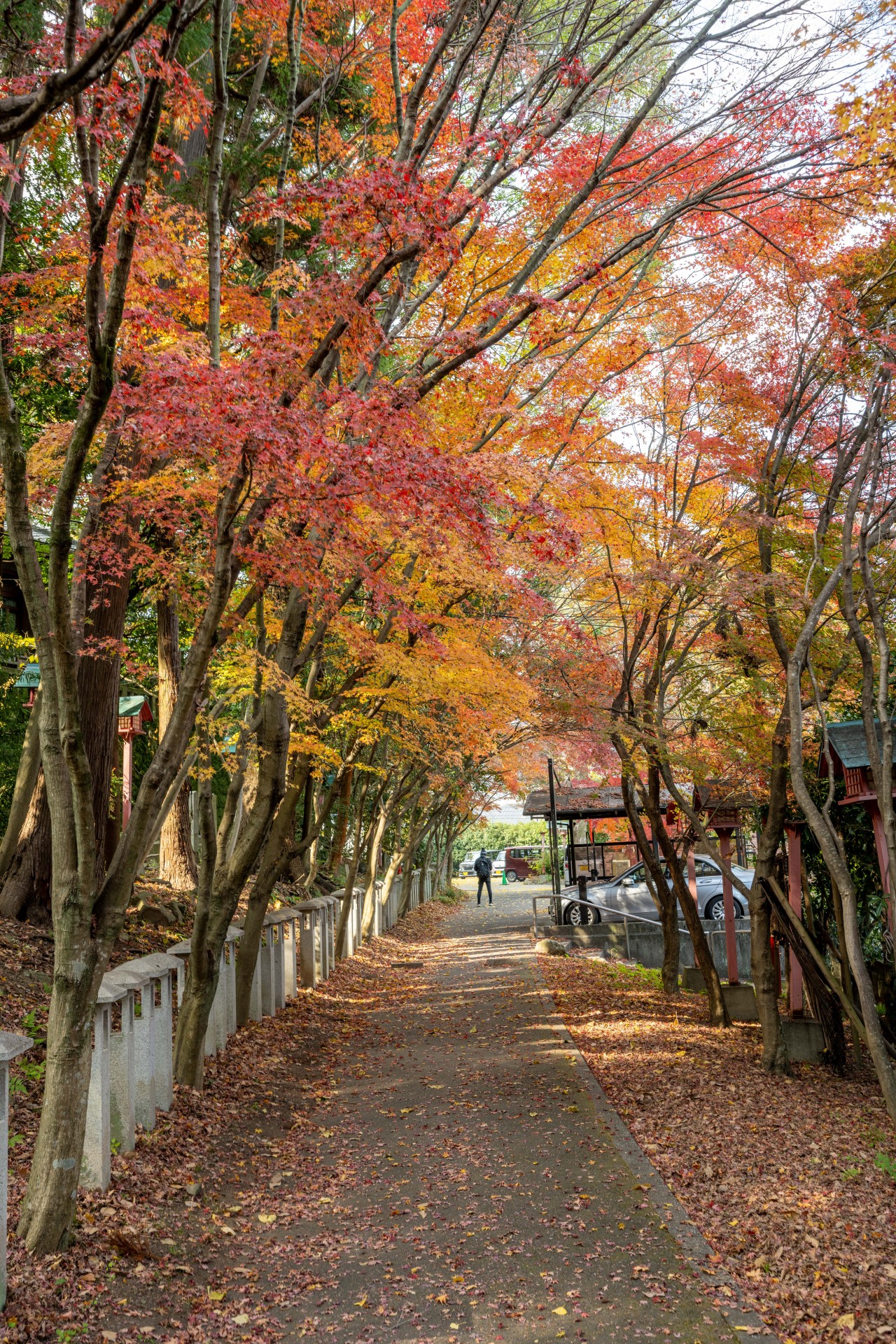 八幡朝見神社