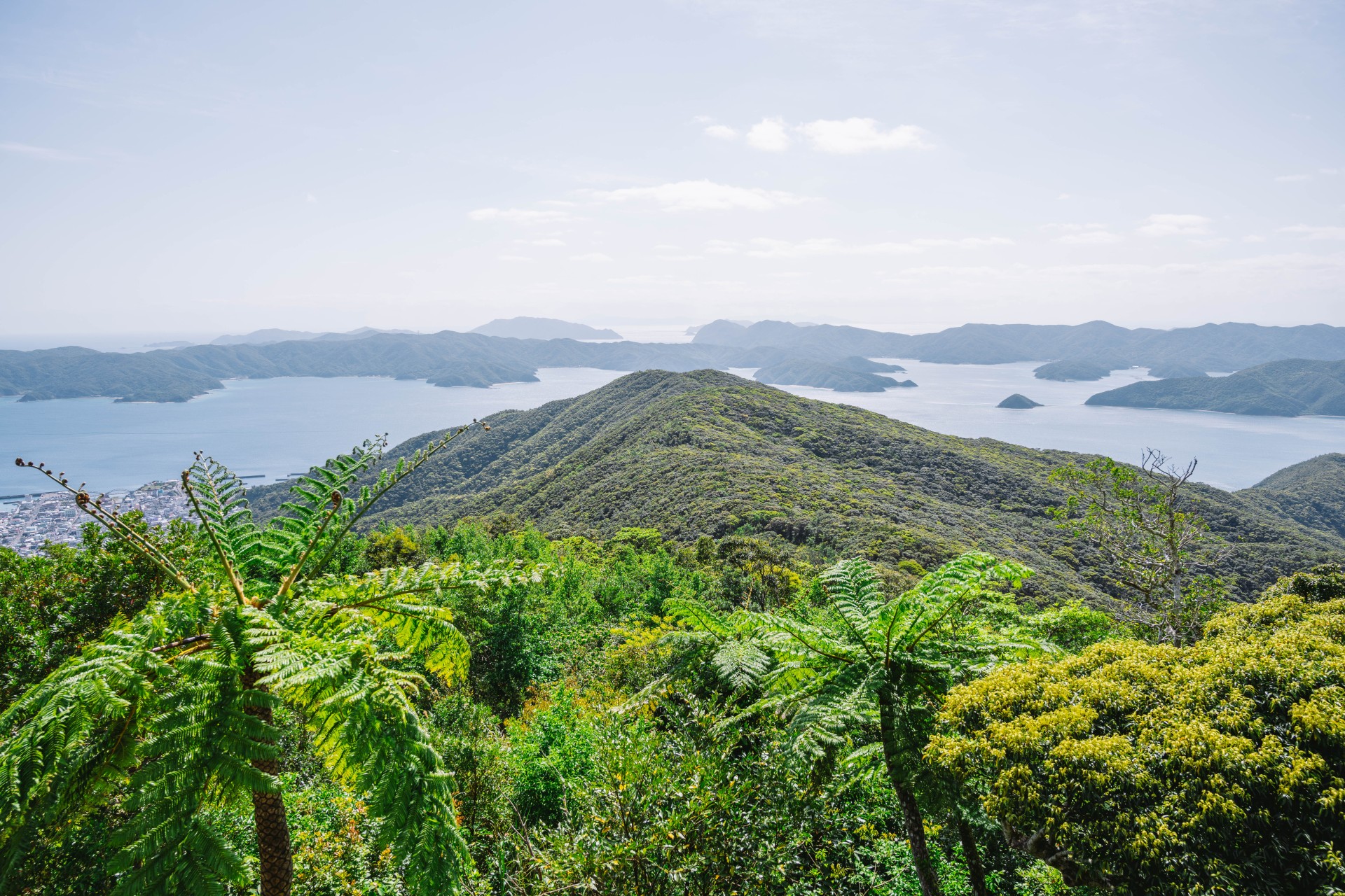 高知山展望台