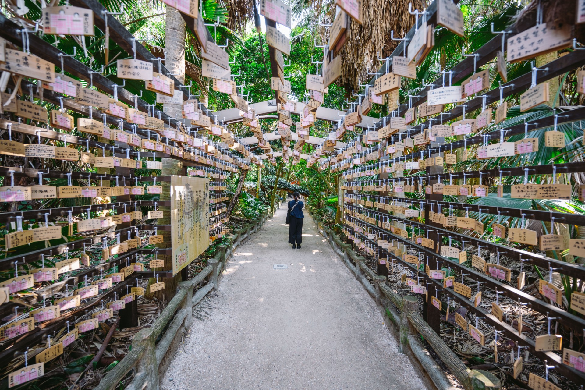 青島神社周辺