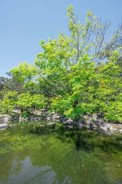 名勝 仙巌園